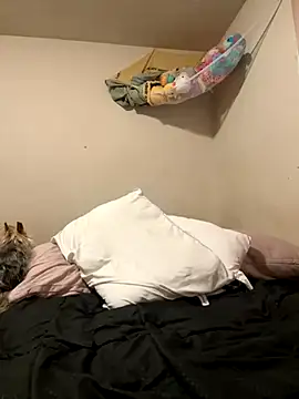 VanessaRose5362 online show from October 2025 02:29:02 PM