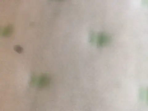 proxanne online show from September 2025 10:58:02 AM