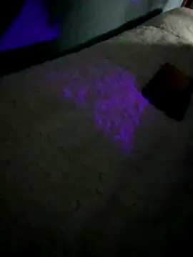 Snapshot of disvla chatting on November 2025 05:17:01 AM disvla online show from November 2025 05:17:01 AM