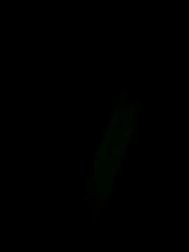 Marleymols online show from December 2025 01:55:02 AM