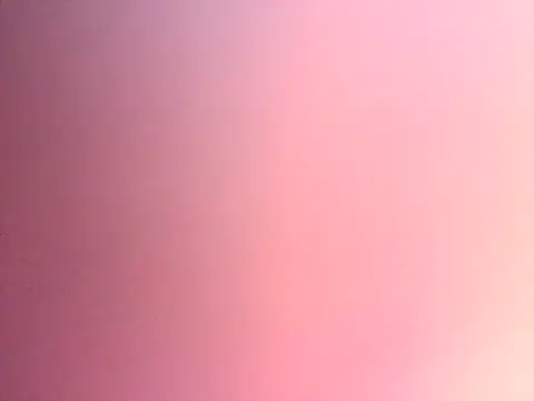 Dropdingo online show from November 2025 11:14:02 PM