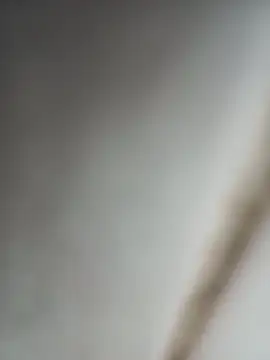 Jobson40 online show from October 2025 12:11:02 AM