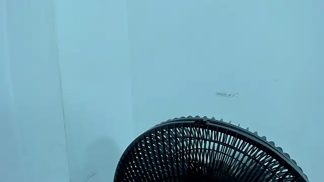 BritanyBrown  online show from March 2026 03:54:01 AM