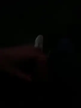 Luck  090 online show from September 2025 11:16:01 PM