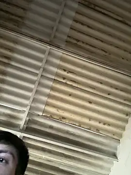 Luck  090 online show from April 2026 08:42:02 PM