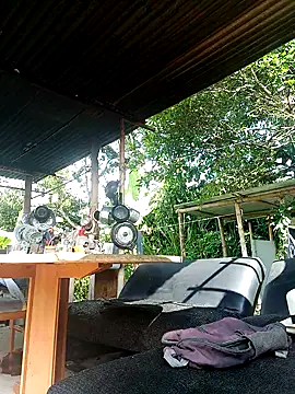 AlphaAlterX online show from December 2025 02:34:01 PM