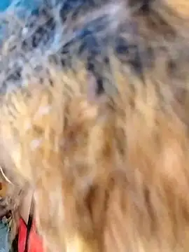 Snapshot of hemilynthomas2467 chatting on February 2026 07:23:02 PM hemilynthomas2467 online show from February 2026 07:23:02 PM