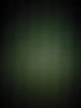 hilaouslee online show from October 2025 11:11:02 AM