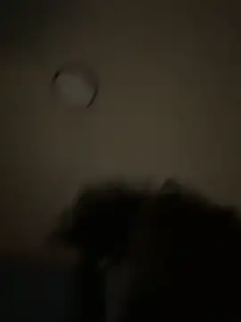 bunbun420247 online show from December 2025 11:30:02 AM