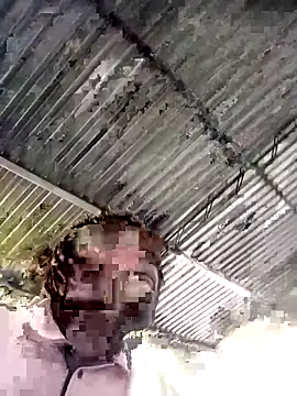 sharpei online show from February 2026 06:48:01 PM