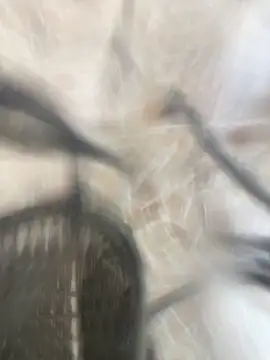 Adele Pinkk online show from October 2025 01:14:01 PM