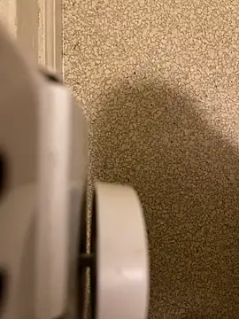 Snapshot of Pedro98801 chatting on December 2025 03:56:02 AM Pedro98801 online show from December 2025 03:56:02 AM