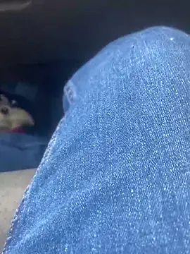 Snapshot of Pedro98801 chatting on February 2026 11:47:02 PM Pedro98801 online show from February 2026 11:47:02 PM