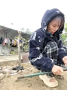 Tin tanny online show from January 2026 12:46:02 AM