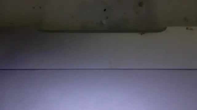 edger4lif3 online show from November 2025 06:59:02 PM