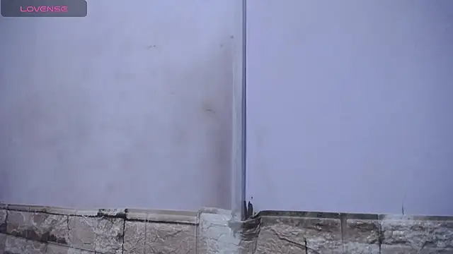 Snapshot of Bicky_24 chatting on February 2026 09:19:02 AM Bicky 24 online show from February 2026 09:19:02 AM