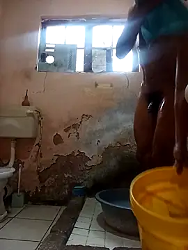 average price online show from November 2025 05:35:01 AM