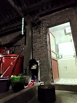 siki-00 online show from February 2026 02:20:02 PM