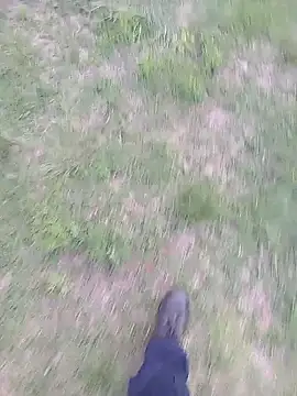 Snapshot of Pondo10 chatting on November 2025 03:55:01 PM Pondo10 online show from November 2025 03:55:01 PM