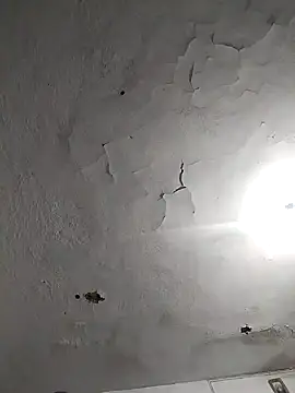 Snapshot of Ferxxxo1503 chatting on November 2025 07:41:01 AM Ferxxxo1503 online show from November 2025 07:41:01 AM