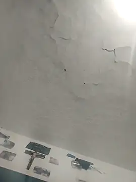 Snapshot of Ferxxxo1503 chatting on December 2025 05:02:02 AM Ferxxxo1503 online show from December 2025 05:02:02 AM