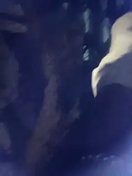 8133vaibhavh online show from October 2025 02:03:02 PM