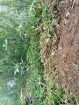 kemtuoi-sex online show from April 2026 09:41:02 AM