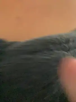    seusegredo online show from February 2026 06:03:01 PM