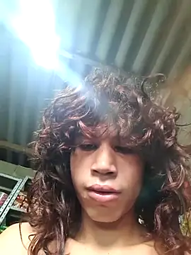 kiimferv online show from November 2025 01:11:02 PM