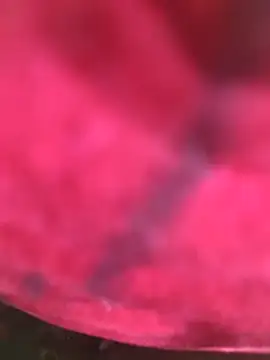 Chanderi19 online show from December 2025 06:17:01 PM