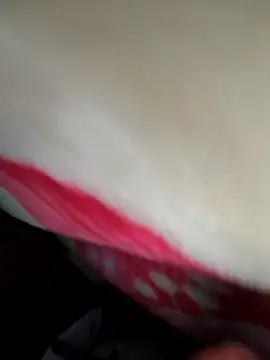 Chanderi19 online show from April 2026 11:49:02 PM