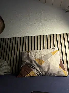 Snapshot of entifyy chatting on February 2026 11:13:01 PM entifyy online show from February 2026 11:13:01 PM