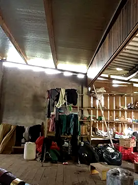 SSexykute3456 online show from October 2025 03:05:02 AM