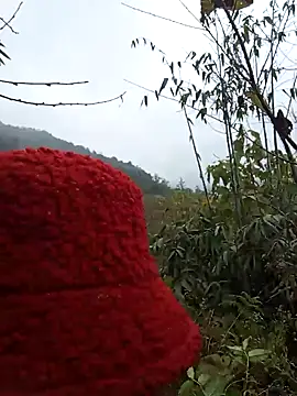 bonnie-00 online show from January 2026 02:47:02 AM