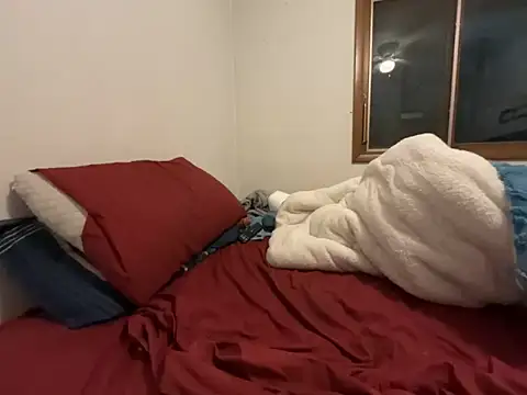 Snapshot of Adam_Phoenix chatting on February 2026 05:17:01 AM Adam Phoenix online show from February 2026 05:17:01 AM