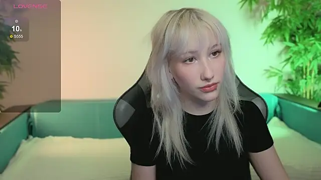 evlica online show from February 2026 02:24:02 PM