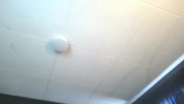 Snapshot of RichardMilleer chatting on July 2026 03:03:02 PM RichardMilleer online show from July 2026 03:03:02 PM