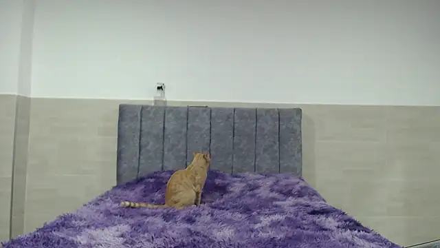  ruby red online show from November 2025 02:45:02 AM