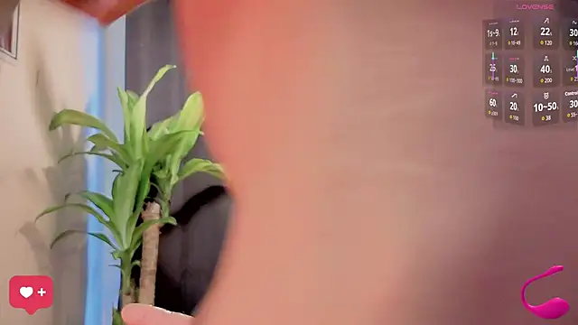 Marcello Nova online show from October 2025 12:23:02 PM