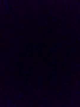 Cachorrinha2025 online show from November 2025 02:05:01 PM