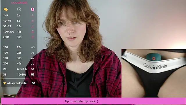 Snapshot of tsellieryder chatting on November 2025 11:18:02 PM tsellieryder online show from November 2025 11:18:02 PM