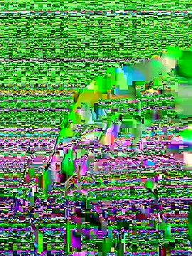 Snapshot of Sexyquerubin chatting on October 2025 03:42:02 PM Sexyquerubin online show from October 2025 03:42:02 PM