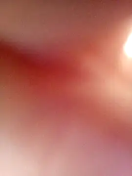 Jarektchurzewski online show from April 2026 03:36:02 PM