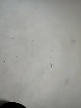 ndon63421 online show from October 2025 02:58:02 PM