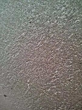 bold guy 1234 online show from March 2026 06:03:02 AM