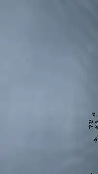 lulu5211 online show from October 2025 09:37:01 AM