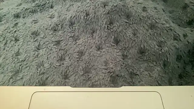 23istanblue23 online show from April 2026 03:20:02 PM