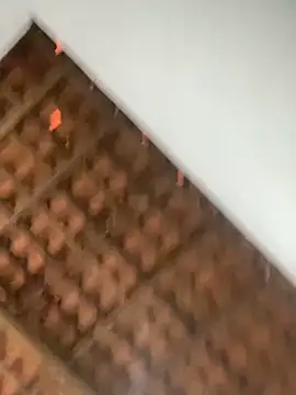 Milenvs online show from March 2026 12:23:02 PM