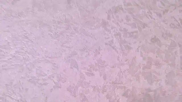 paulina cano online show from December 2025 07:10:01 PM