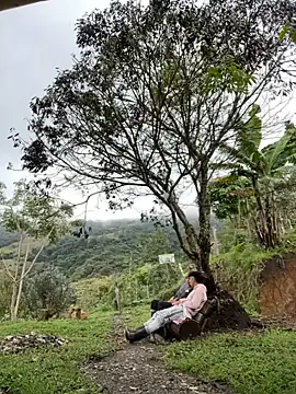 sky-wolves online show from October 2025 04:19:01 PM